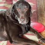 Profile Picture of Lisa Humenick (@lisa.humenick) on Facebook