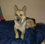 Profile Picture of Michéle Hetzel (@Michéle-Hetzel) on Facebook