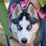 Profile Picture of Kimberly Kapise (@kimberly.kapise.1) on Facebook