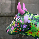 Profile Picture of Miranda Jackson (@m.jackson) on Flickr