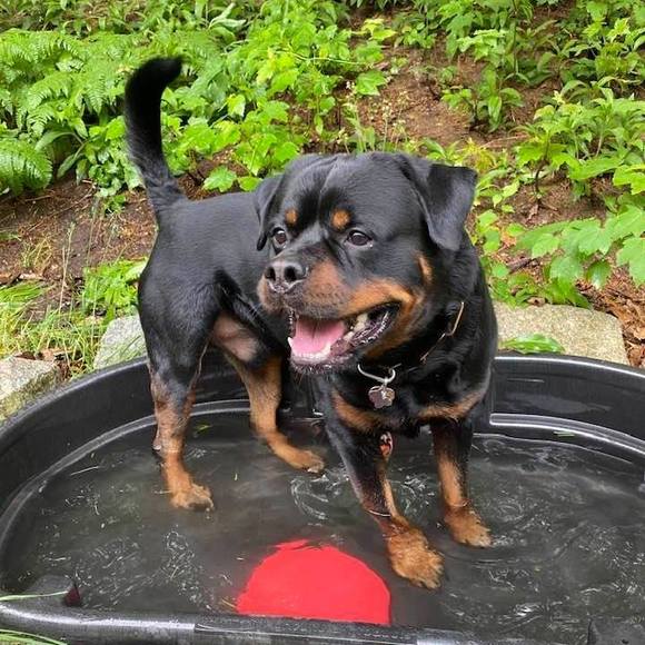 Beverly Caffarella - Poshmark Profile Picture of Beverly Caffarella (@bcaffarella) on Poshmark