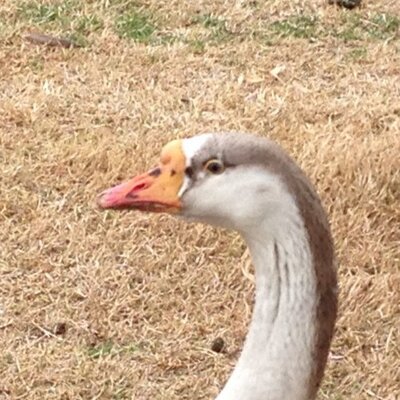 Profile Picture of Adam Eyre (@adameyre1290) on Twitter