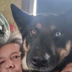 Profile Picture of tonygoddard18 (@tony.goddard) on Tiktok