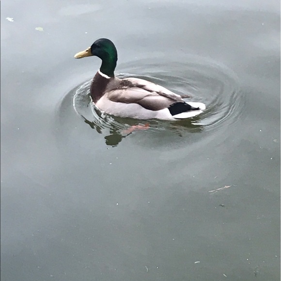 Profile Picture of Jessica Kirby (@jrkirby80) on Poshmark