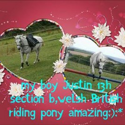 Profile Picture of Jessie Burgess-farra (@JessieFarra) on Twitter