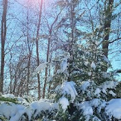 Profile Picture of Joy Conley (@joyconley5264) on Youtube