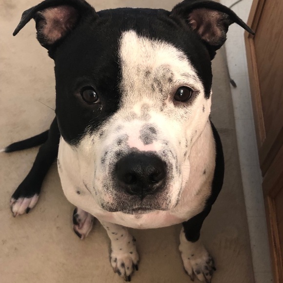 Joe Henson - Poshmark Profile Picture of Joe Henson (@jphenson11) on Poshmark