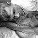 Profile Picture of Joel Donaldson (@donaldson4341) on Pinterest