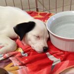 Profile Picture of Shawn Kimbrell (@wise_boi56) on Instagram