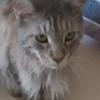 Profile Picture of christopher.heinz (@christopher.heinz) on Tiktok