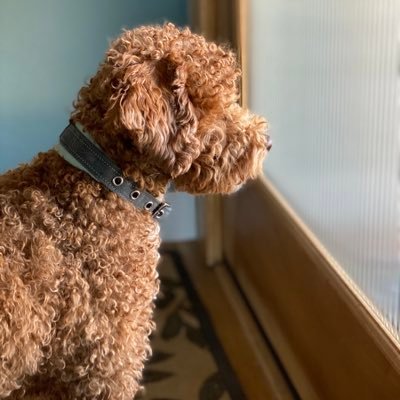 Profile Picture of Preston Vaughn (@PrestonVaughn62) on Twitter