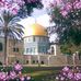 Profile Picture of Huda Qasem (@huda.qasem.169) on Facebook
