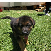 Profile Picture of Christian Haddad (@christianhaddad3587) on Youtube