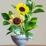 Profile Picture of Gulab S Dabhi (@gulab.s.dabhi.2025) on Facebook