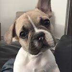 Profile Picture of Brandon Cross (@brandon.cross.007) on Instagram