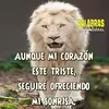 Profile Picture of prosperochavezrod (@prosperochavezrod) on Tiktok