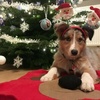 Profile Picture of Chris Palm (@@cvp1985) on Tiktok