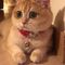 Profile Picture of Pamela Holliday (@pamela.holliday.10) on Facebook