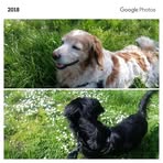 Profile Picture of Luisa Falcelli (@Luisa-Falcelli) on Facebook