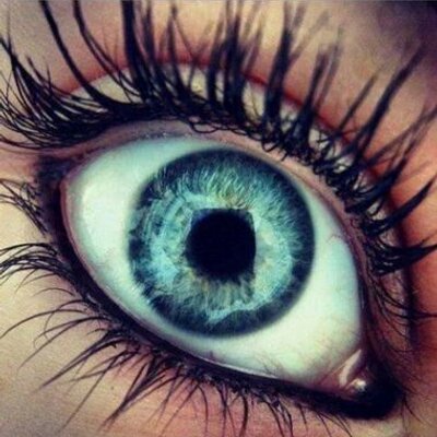 Profile Picture of Aaliyah Alexander (@AaliyahAlexan17) on Twitter