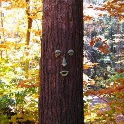Profile Picture of Ian Zimmerman (@twrubbish) on Twitter