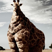 Profile Picture of Matthew Link (@matthewlink6181) on Youtube