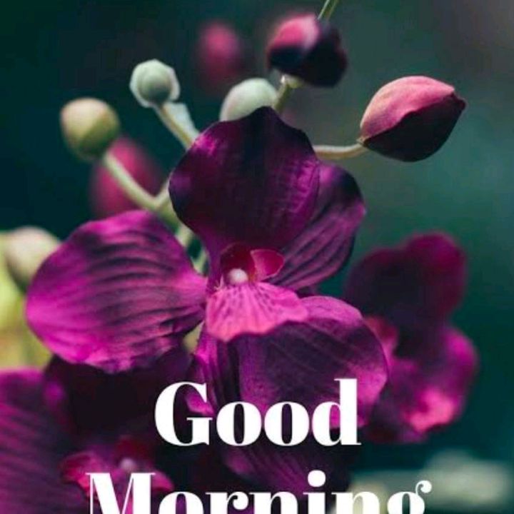 Profile Picture of jitendersingh (@jitendersingh2583) on Tiktok