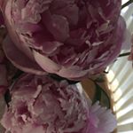 Profile Picture of Debbie Carlsen (@quilterdebbie) on Instagram