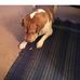 Profile Picture of Carl Seamon (@carl.seamon.9) on Facebook