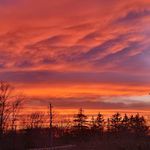 Profile Picture of Brad De Boer (@braddeboer) on Instagram