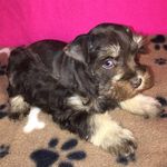 Profile Picture of Deb Kruse (@ddkruse2016) on Instagram