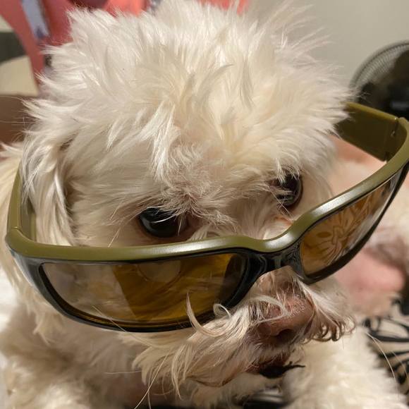 Profile Picture of Keith Pawson (@pawz_on) on Poshmark