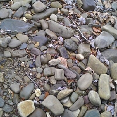 Profile Picture of Thomas Lemons (@lemons476) on Twitter