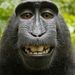 Profile Picture of Bryan Horner (@bryanhorner) on Pinterest