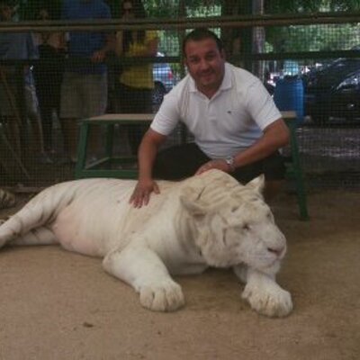 Profile Picture of Mario Carpio Saavedr (@mariocarpio84) on Twitter