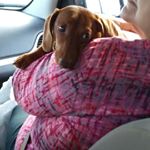 Profile Picture of Laronda Agee (@yala1996) on Instagram