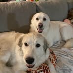 Profile Picture of Colby Haislip (@colby.haislip) on Facebook