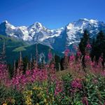 Tyler North - Instagram Profile Picture of Tyler North (@the.northside) on Instagram