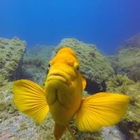 Profile Picture of Pawel Nowak (@pawel-nowak-4) on Quora