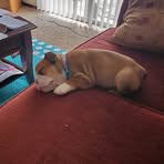 Profile Picture of Bruce Scherbarth (@bruce.scherbarth.5) on Facebook