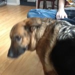 Profile Picture of Corey Ian Vest (@coreylatin0) on Instagram