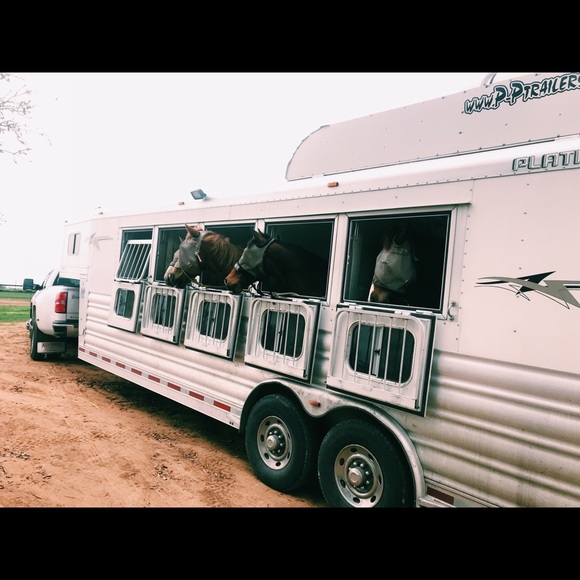 Profile Picture of Avery Foegelle (@averyfoegelle1) on Poshmark