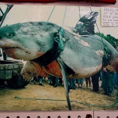 Profile Picture of Derek Harrington (@harringtondere1) on Twitter