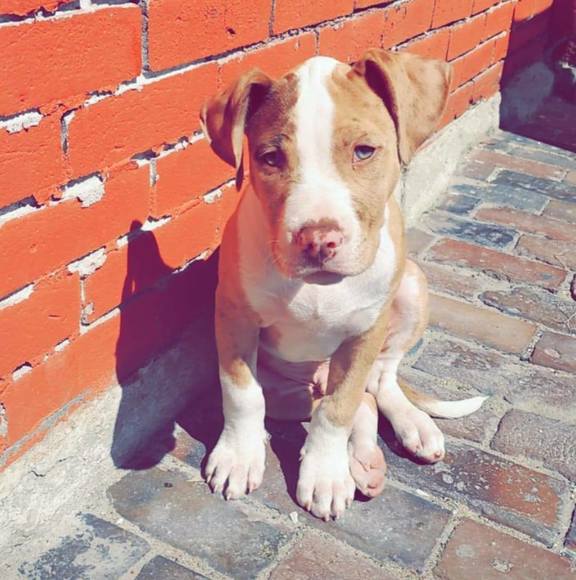 Profile Picture of Wade Davidson (@davidson_wade3) on Poshmark