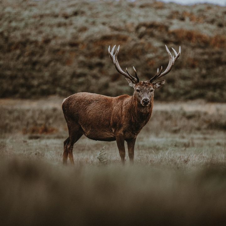 Profile Picture of Jason Champ (@jase0n) on Tiktok