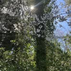 Profile Picture of Bailey Upton (@Bailey-Upton) on Facebook