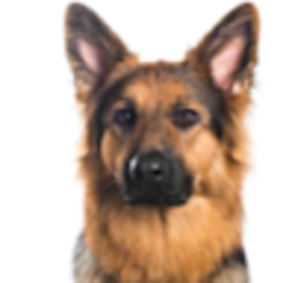 Profile Picture of Danielle Baillargeon (@daniellebail939) on Poshmark