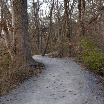 Profile Picture of Dawn Marie Carpenter (@DawnDedee) on Twitter