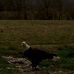 Profile Picture of Joseph Bly (@joseph.bly.370) on Facebook