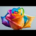 Profile Picture of jason (@ahmad.reza.25.48.77) on Instagram